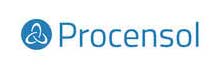 Procensol: Accelerating Business Processes with Bespoke Solutions